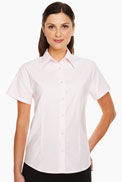 Classic Collar Blouse Short Sleeve